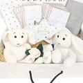 Welcome to The World 11 Piece Twin Baby Gifts Hamper Box New Baby Essential, Socks, Toy, Plaque, Blankets, Muslins, Baby Moment Cards Baby Shower Present Mum to Be Gift Bo Bunny (Unisex)