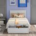 Red Barrel Studio® Full Size Platform Bed w/ Under-Bed Drawers, Gray Wood in White, Size 36.0 H x 42.0 W x 76.0 D in | Wayfair