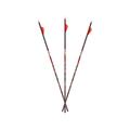 Carbon Express D-Stroyer MX Hunter 400 6-pack Arrows 51147