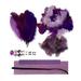 ZUCKER FEATHER CROWN KIT SUGARPLUM