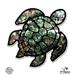 Sea Turtle Natural Shell Texture - 12 Vinyl Sticker Waterproof Decal