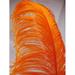 Orange Ostrich Feather Plume Premium 18-24+ inch per Each