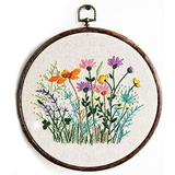 Maydear Stamped Embroidery Kit for Beginners with Pattern Cross Stitch kit Embroidery Starter Kit Including Embroidery Hoop Color Threads and Embroidery Scissors - Herborist4