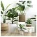 Naturae Decor Artificial Fiddle Leaf Fig Plant in Pot Plastic | 47.24 H x 7 D in | Wayfair OUT-FIDDLE-47BC