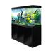 AQUA DREAM 50 Gallons Rectangle Aquarium Tank Glass (cost efficient & easy to clean) in Black | 51 H x 14 W x 24 D in | Wayfair AD-1560-ABK