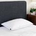 Serta Arctic 15x Cooling Fiber Bed Medium Support Pillow Fiber | 4 H x 20 W x 28 D in | Wayfair 30052DS