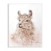 Stupell Industries No Drama Llama Shaggy Hair Animal Abstract Portrait Oversized Stretched Canvas Wall Art By Debi Coules Canvas in Brown | Wayfair