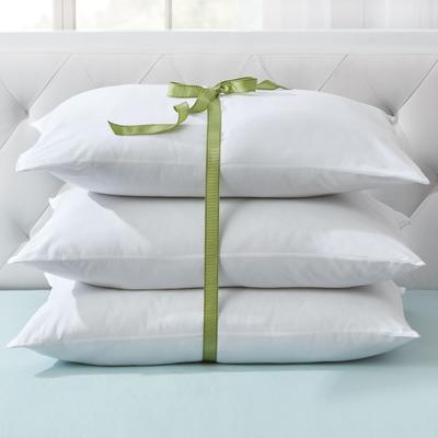 3-Pack Pillow by BrylaneHome in White (Size PSTAND...