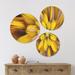 East Urban Home Designart 'Massive Yellow Fractal Flower' Floral Wood Wall Art Set Of 3 Circles Wood in Brown/Yellow | 34 H x 44 W x 1 D in | Wayfair