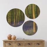 East Urban Home Designart 'Bluebell s In Oxfordshire' Landscape Wall Art Set Of 3 Circles in Brown/Green | 34 H x 44 W x 1 D in | Wayfair