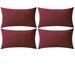 Everly Quinn Set Of 4 Throw Pillow Velvet Cushion Covers Velvet in Red | 14 H x 20 W x 1 D in | Wayfair 2262AF7D084C44969FB50347D733A5D8