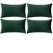 Everly Quinn Set Of 4 Throw Pillow Velvet Cushion Covers Velvet in Green | 14 H x 20 W x 1 D in | Wayfair EF50446CCD664E7090BD99966A5A8F43
