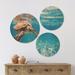 East Urban Home Designart 'Large Hawksbill Sea Turtle' Abstract Wood Wall Art Set Of 3 Circles Wood in Blue/Brown | 34 H x 44 W x 1 D in | Wayfair