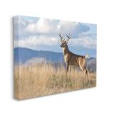 Stupell Industries -Tail Buck In Wild Montana Mountains Blue Sky by - Graphic Art Canvas in White | 36 H x 48 W x 2 D in | Wayfair ae-929_cn_36x48