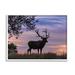Stupell Industries Wild Elk Sunrise Forest Animal Antlers Morning Sky by - Photograph Canvas in Indigo | 24 H x 30 W x 4 D in | Wayfair