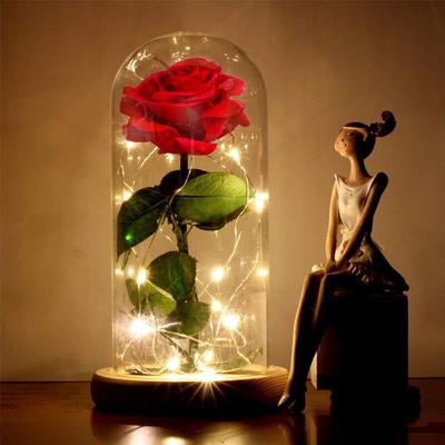 Xichao - La Rose Eternelle et lumière led "Belle et la bête ", meilleur cadeau pour la fête des