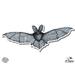 Bat Flying Wings Realistic - 12 Vinyl Sticker Waterproof Decal