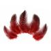 1/4 Lb - Red Guinea Hen Plumage Polka Dot Feathers Wholesale (Bulk)
