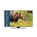 JVC LT-43VU8155 43 Zoll Fernseher / Smart TV (4K Ultra HD, HDR Dolby Vision, Triple-Tuner) - 6 Monate HD+ inklusive [2022]