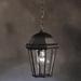 Astoria Grand Connan 1-Light Outdoor Hanging Lantern Glass/Aluminium/Metal in Black | 13.5 H x 9.5 W x 9.5 D in | Wayfair