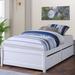 Red Barrel Studio® Solid Wood Platform Bed w/ Wooden Slats, Twin Bed w/ 2 Drawers Wood in White | 15.6 H x 41.75 W x 79.5 D in | Wayfair