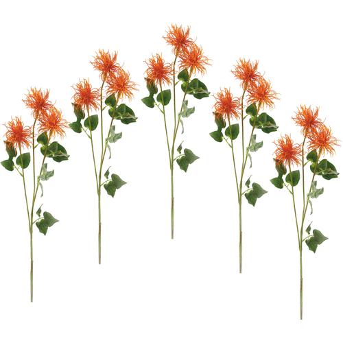 I.GE.A. Kunstblume Spinnenprotea, (5 St.), 5er Set orange Künstliche Zimmerpflanzen Kunstpflanzen Wohnaccessoires