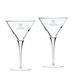 Charleston Cougars 10 oz. 2-Piece Luigi Bormioli Titanium Martini Glass Set