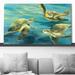 Rosecliff Heights Sea Turtles by Julia Purinton - Painting Canvas | 28 H x 48 W x 1.5 D in | Wayfair CE672860980341F88366B00348D95CF1