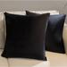 Cheer Collection Set of 2 Hollow Fiber Filled Couch Pillows