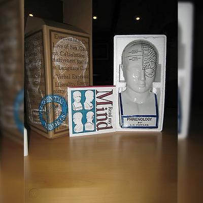 Authentic Models White/Polished Porcelain Phrenology Head