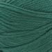 Cascade Pacific Worsted Weight Yarn (40% Superwash Merino Wool/ 60% Acrylic) - #111 Pine Green