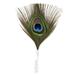 Zucker Feather Products Feather Floral Pick w/Peacock Eye - 2 x 4 - Natural