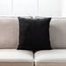 Eider & Ivory™ Square Pillow Cover & Insert Polyester/Polyfill in Black | 20 W x 3.5 D in | Wayfair 6AD61B32BE4548CCA8871FABD8F540CD