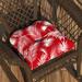 Bayou Breeze Panama Outdoor Dining Seat Cushion Polyester in Red/Pink/Blue | 5 H x 19 W in | Wayfair E5EC82C5AEEE4986831B73229A11ACAB