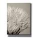Winston Porter Dandelion Jewels I by Lori Deiter - Wrapped Canvas Photograph Canvas, Solid Wood in Gray | 16 H x 12 W x 0.75 D in | Wayfair