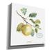 Red Barrel Studio® 'My Greenhouse Fruit IV' By Lisa Audit, Canvas Wall Art Canvas, Solid Wood in Yellow | 26 H x 26 W in | Wayfair