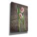 Latitude Run® 'Spring Tulips VI' By Debra Van Swearingen, Canvas Wall Art Canvas in Brown | 26 H x 18 W x 0.75 D in | Wayfair