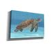Bayou Breeze 'Ocean Sea Turtle I' By Tim O'toole, Canvas Wall Art, 40"X26" Metal in Blue/Brown | 40 H x 60 W x 1.5 D in | Wayfair