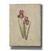 Red Barrel Studio® 'Springtime Iris' By Marilyn Hageman, Canvas Wall Art Canvas | 16 H x 12 W x 0.75 D in | Wayfair