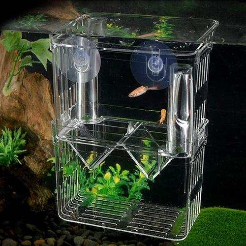 Aquarium-Inkubator, Fischzuchtbox, Guppy-Aquarium-Inkubator, Aquarium-Aquarium, isolierter Sämling,