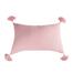 14" x 22" Bree Blush Woven Throw Pillow