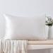 Everly Quinn 22 momme 100% Pillowcase w/ Gift Box Silk/Satin in White | Wayfair 6290A65FDEF94AA5B0FC6C8D54FC5D29