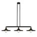 Innovations Lighting Bruno Marashlian Appalachian 44 Inch 3 Light Linear Suspension Light - 213-SN-MFR-SN-12