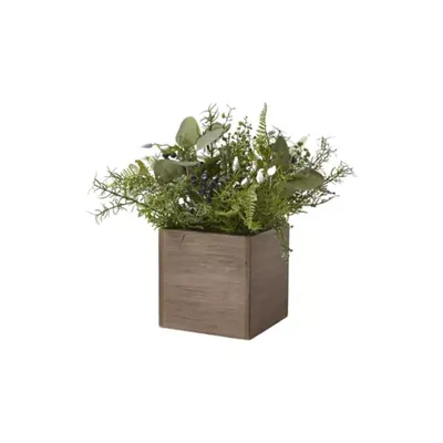 Modern. Southern. Home.™ Green Mixed Sitabout Plant