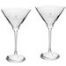 Culinary Institute of America Steels Two-Piece Traditional 10oz. Martini Glass Set