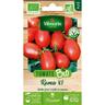 Vilmorin - Tomate Roma v.f - bio