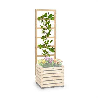 Modu Grow 50 up Spalier Rankhilfe 50 x 151 x 3 cm kiefer - Blumfeldt Image