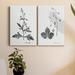 Rosalind Wheeler Botanical Imprint III Premium Gallery Wrapped Canvas - Ready To Hang Metal in Black/White | 60 H x 40 W x 1 D in | Wayfair