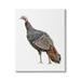 Stupell Industries Wild Turkey Bird Kids' Nursery Animal by Fox Hollow Studios - Painting Canvas in Brown | 20 H x 16 W x 1.5 D in | Wayfair