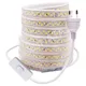 Bande lumineuse LED avec variateur prise UE ruban flexible étanche 220V 5730 5630 SMD 180LED/m